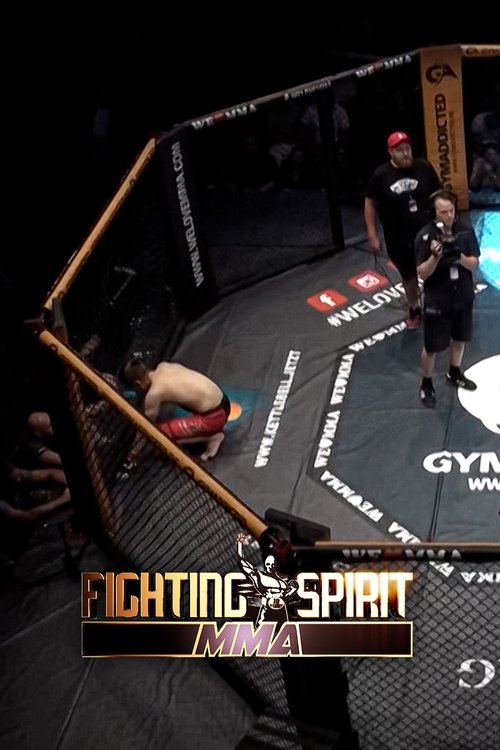 Fighting Spirit MMA poster
