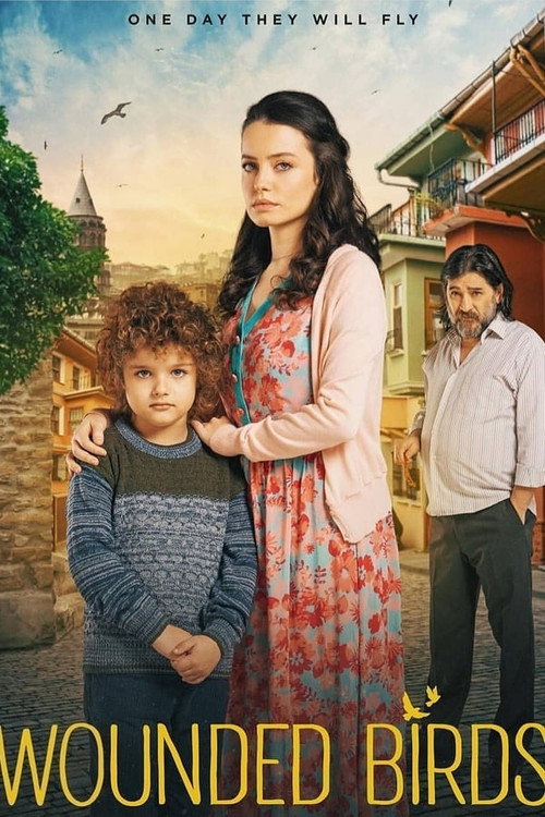 ציפור פצועה poster