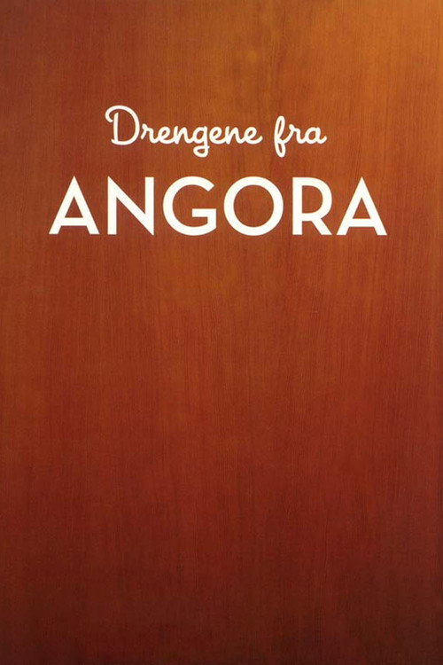 Drengene fra Angora poster