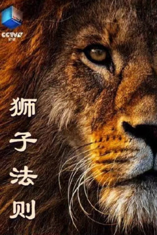 狮子法则 poster