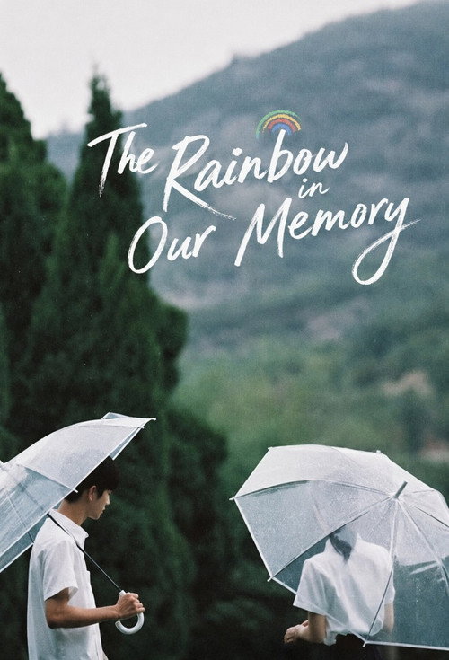 The Rainbow in Our Memory poster