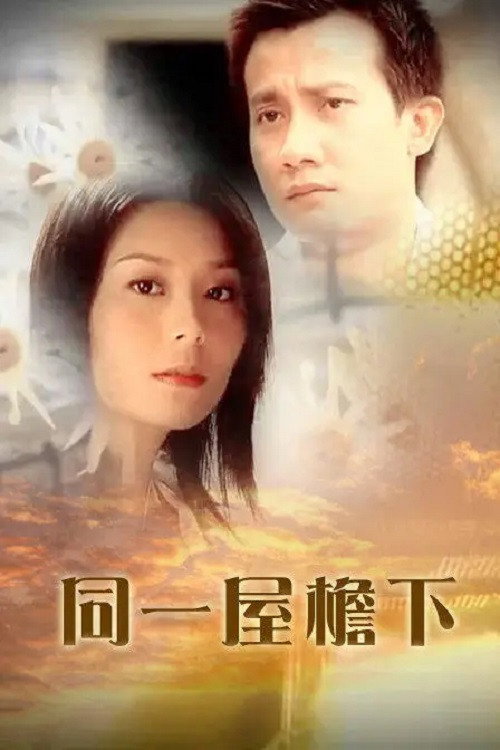 My Love, My Home poster