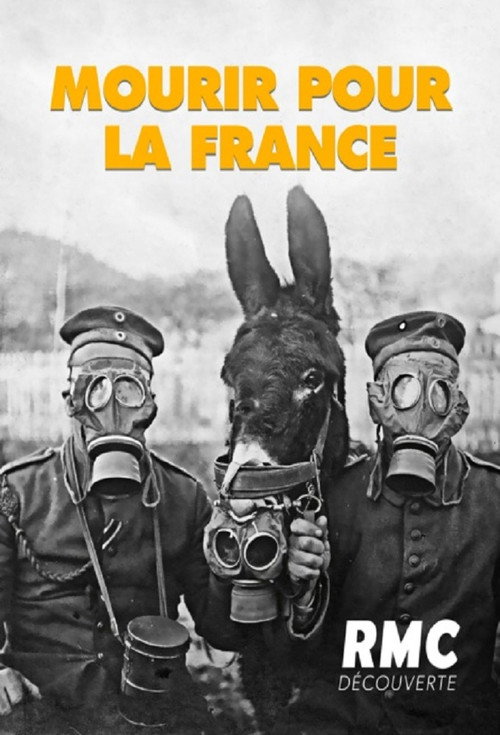 Mourir pour la France poster