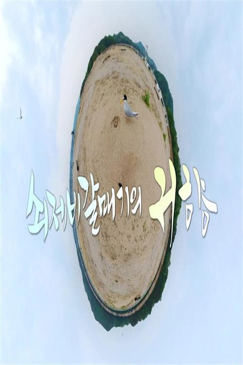 UHD추석 특집 다큐 쇠제비갈매기의 귀향 poster