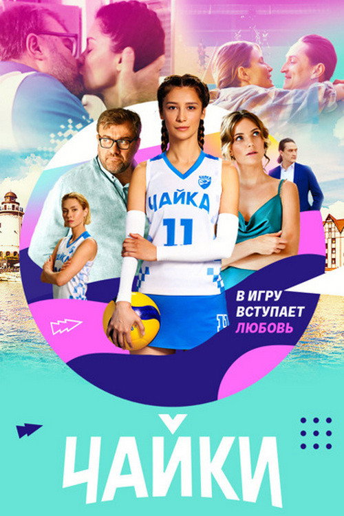 Seagulls poster