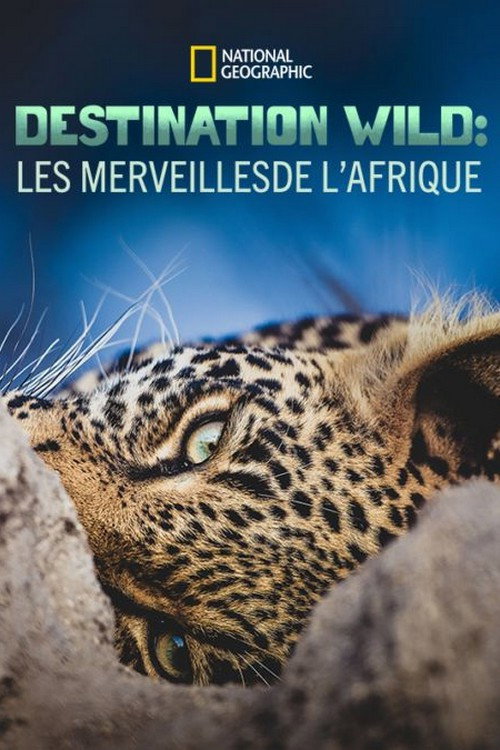 Destination Wild : les merveilles de l'Afrique poster