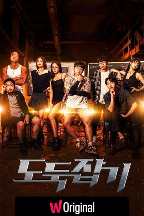도둑잡기 poster