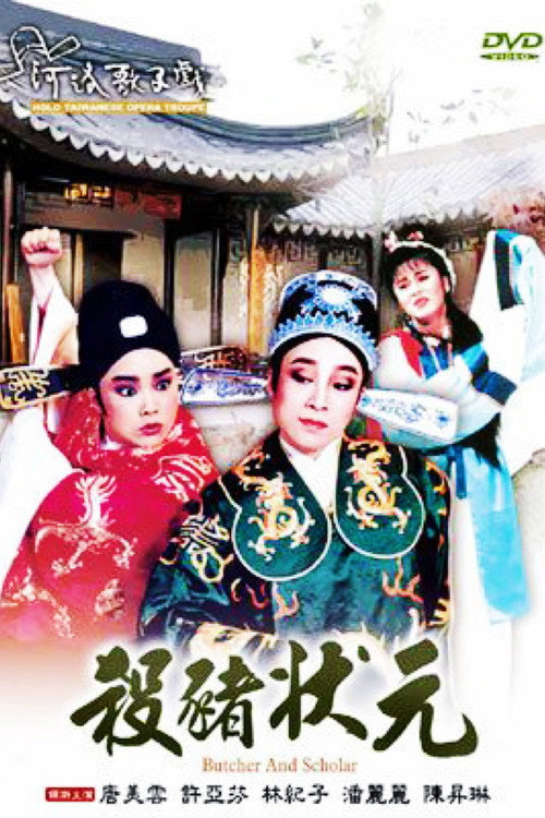 不是電視歌仔戲 poster
