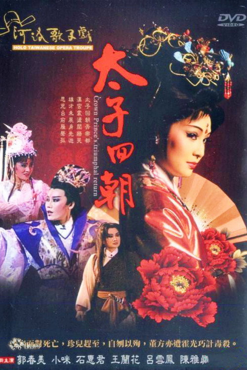 不是電視歌仔戲 poster