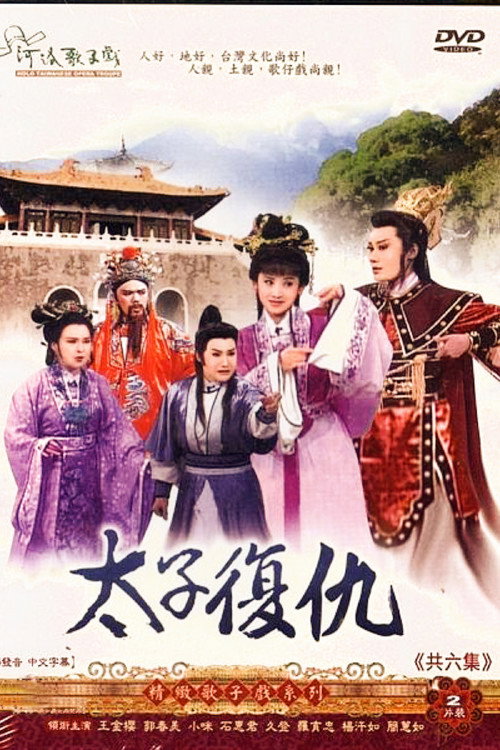 不是電視歌仔戲 poster