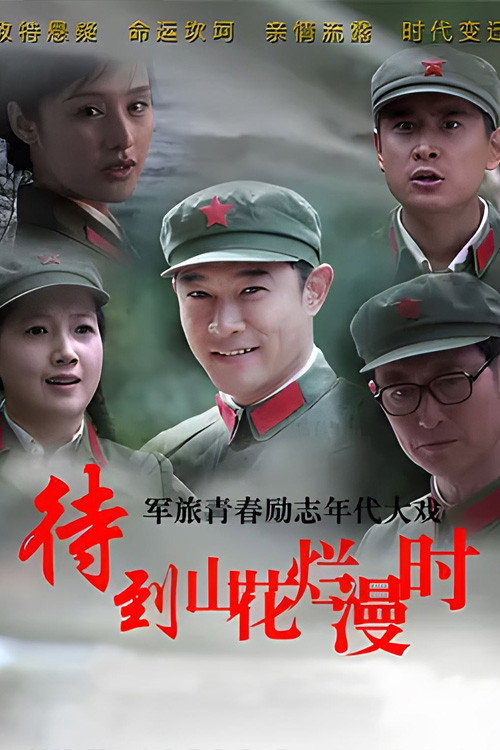When the Mountains Are Full of Flowers poster