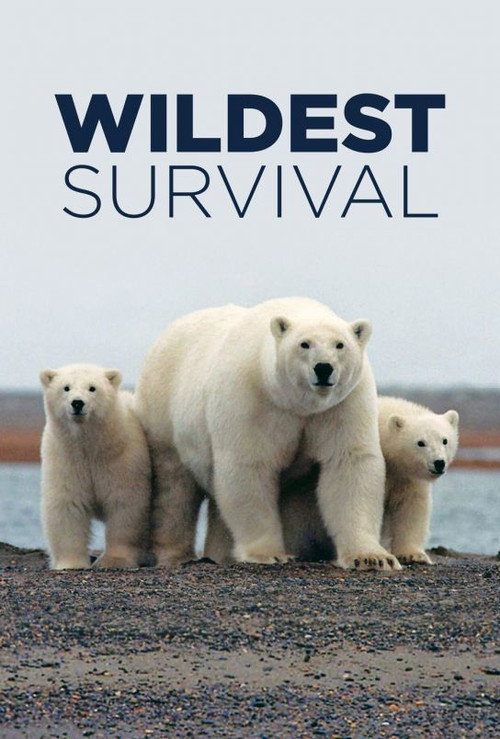 Wildest Survival poster