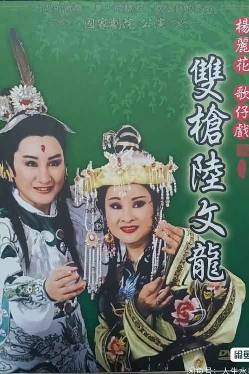 雙槍陸文龍 poster