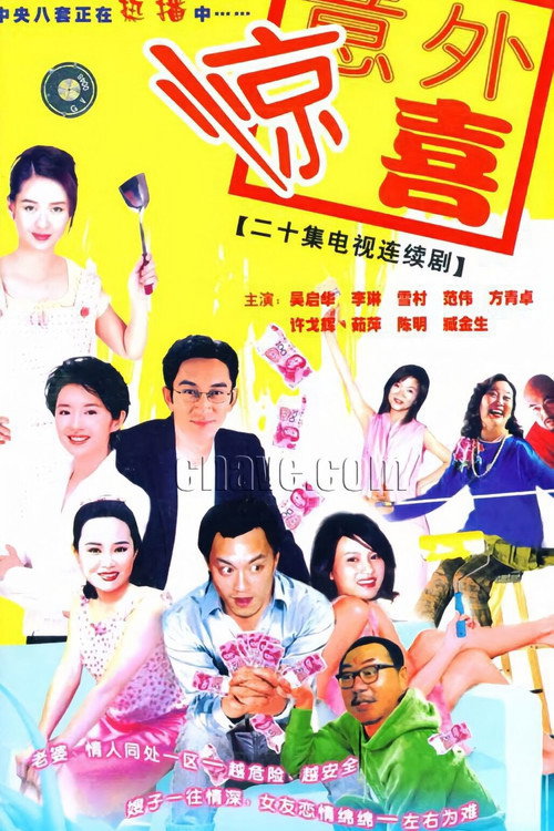 将装修进行到底 poster