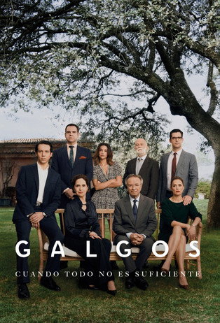 Galgos poster