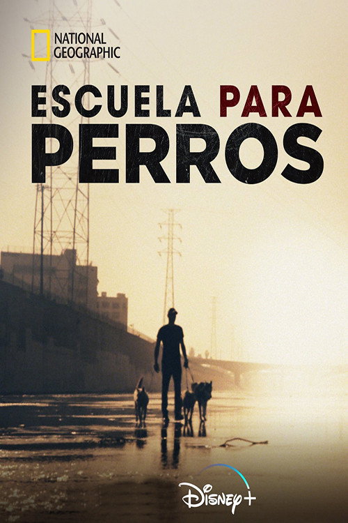 Escuela para perros poster