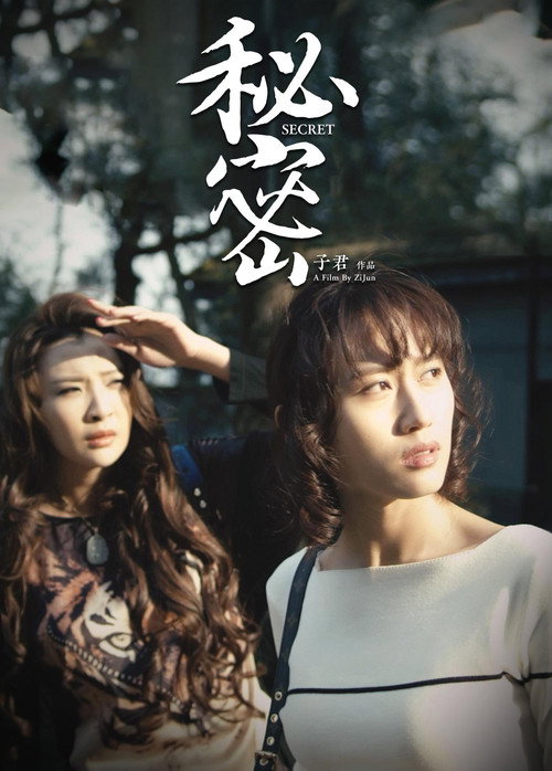 秘密 poster