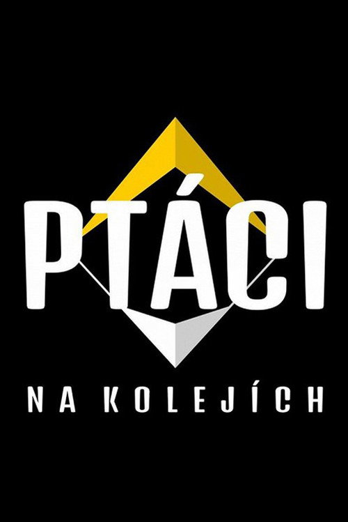 Ptáci na kolejích poster