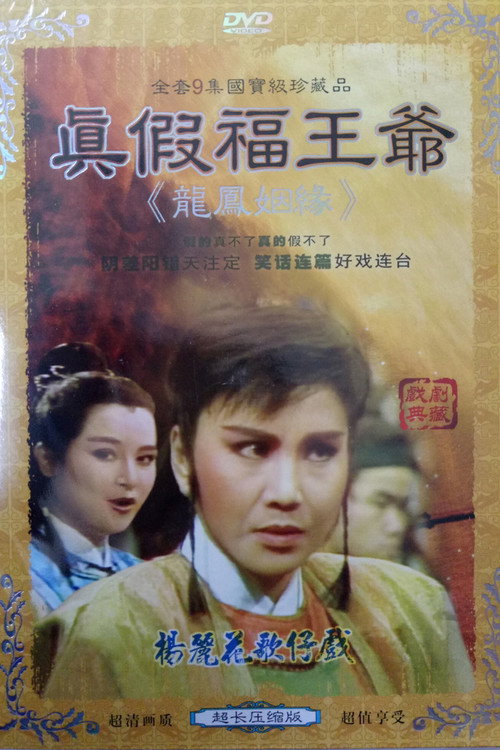 龍鳳姻緣 poster