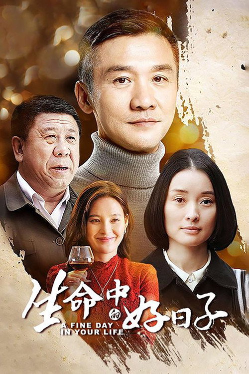生命中的好日子 poster