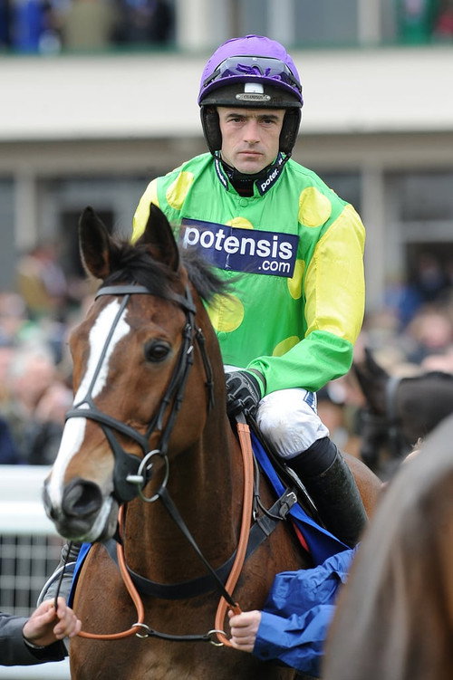 ROAD TO CHELTENHAM poster
