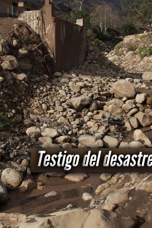 Testigos de la tragedia poster