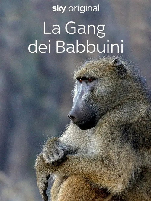 Gangs of Baboon Falls poster