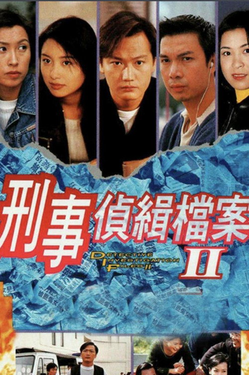 Detective Investigation Files II poster