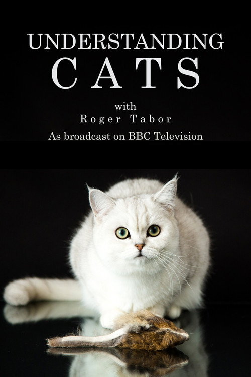 Understanding Cats poster