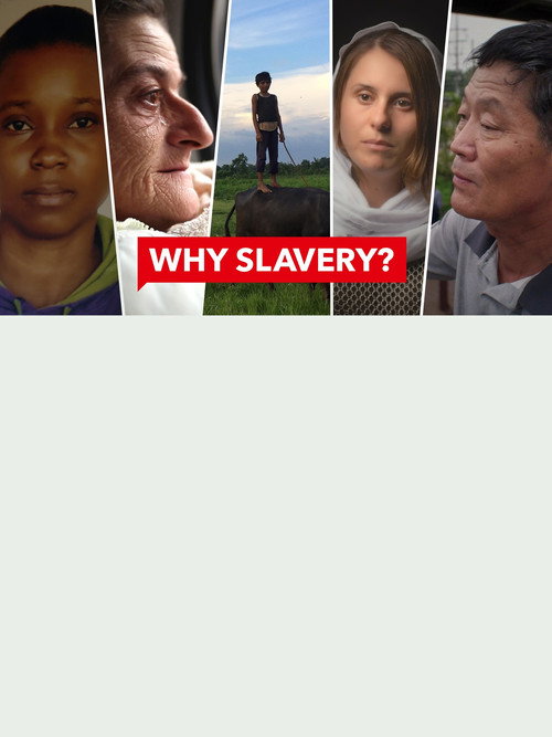 WHY SLAVERY? poster