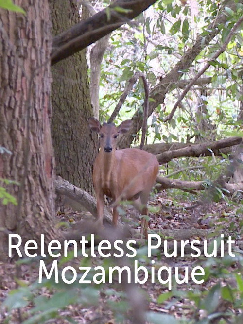 Mozambique poster