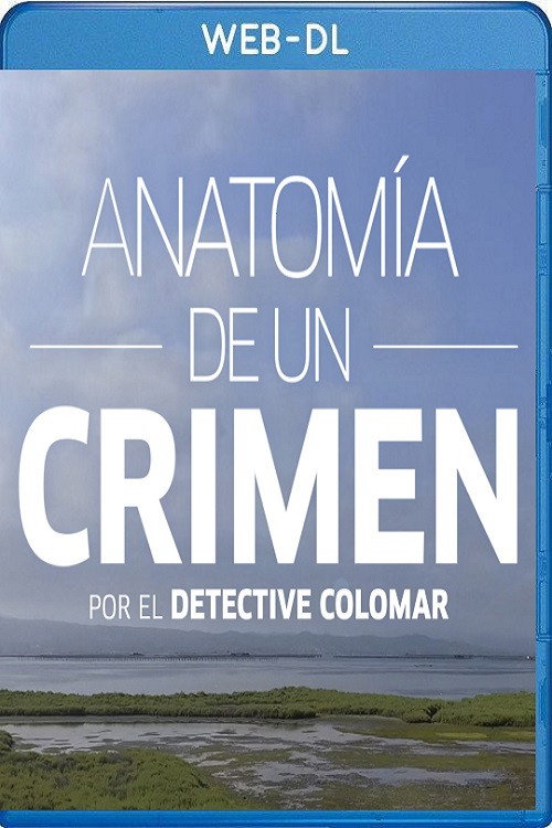 Anatomía de un crimen poster