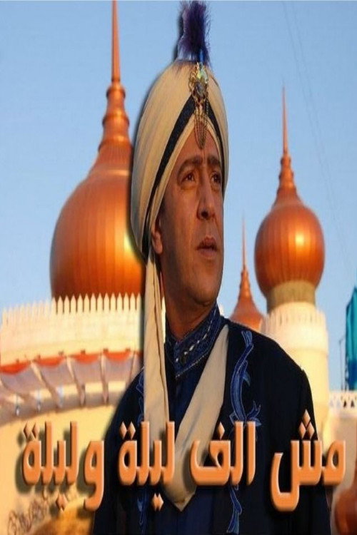 Not One Thousand and One Nights poster