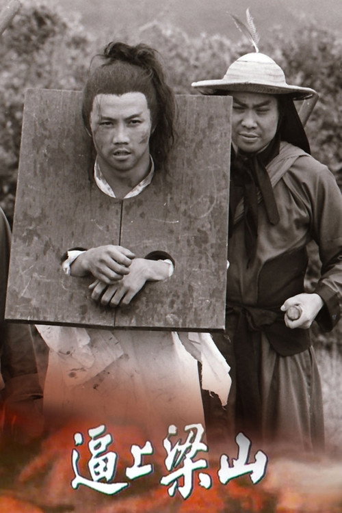 Water Margin poster