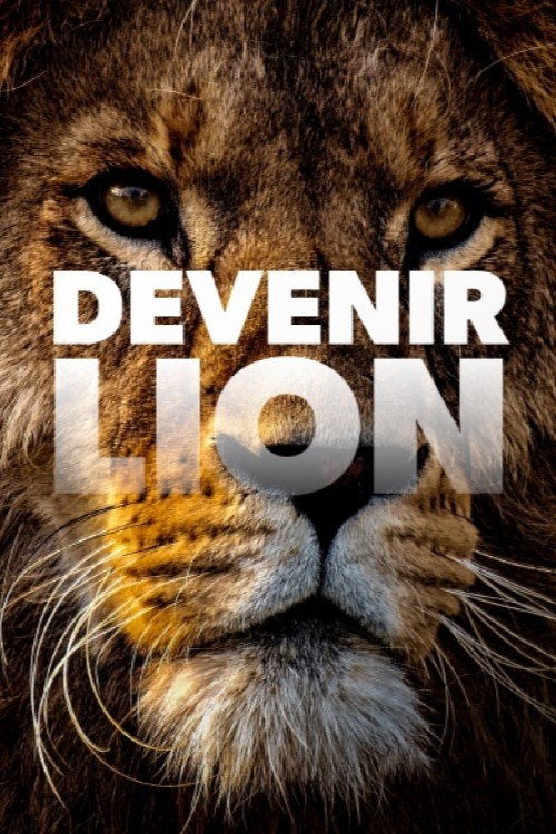 Lion Brothers poster