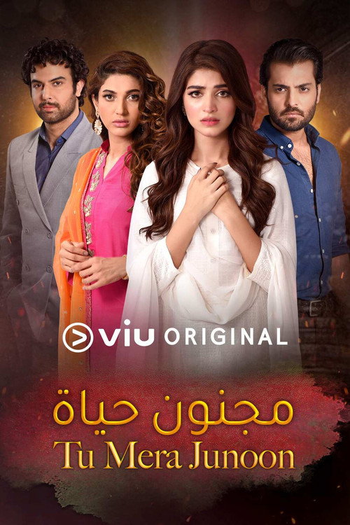 Tu Mera Junoon poster