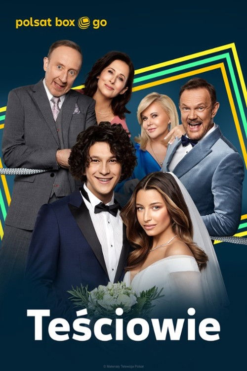 The In-laws poster