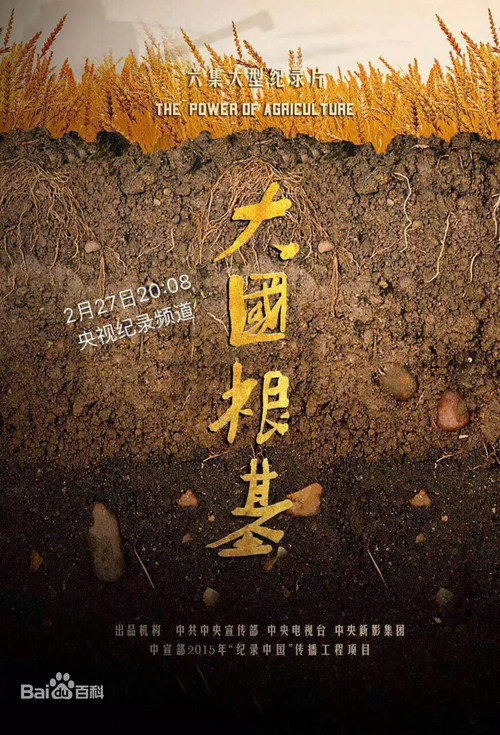大国根基 poster