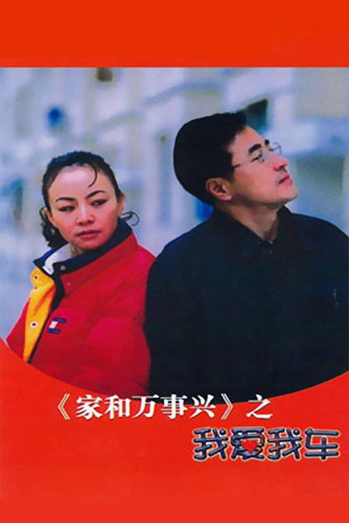 家和万事兴之我爱我车 poster