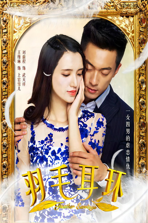 羽毛耳环 poster