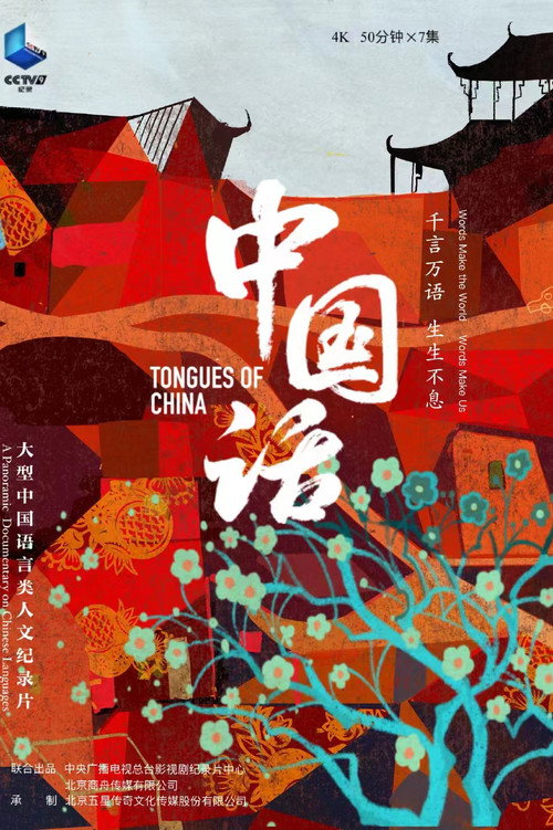 中国话 poster