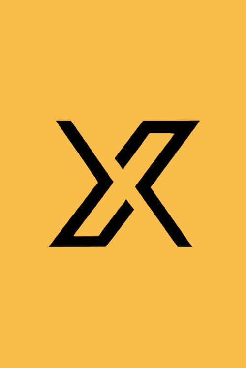 X调查 poster