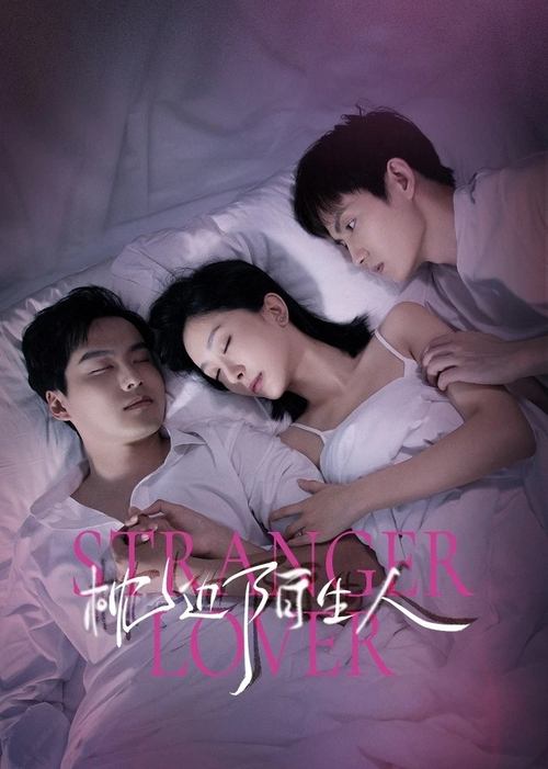 My Stranger Husband poster