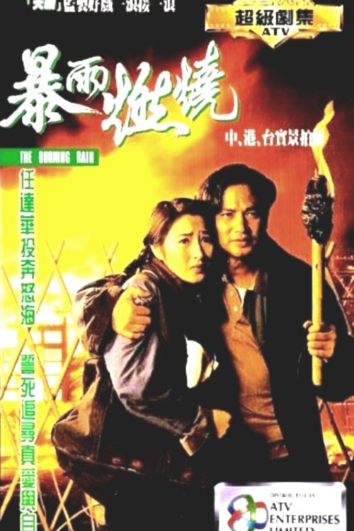 暴雨燃燒 poster