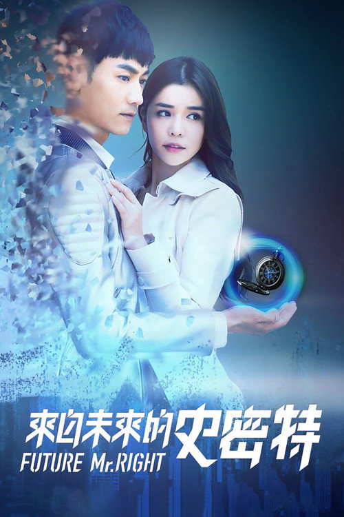 来自未来的史密特 poster
