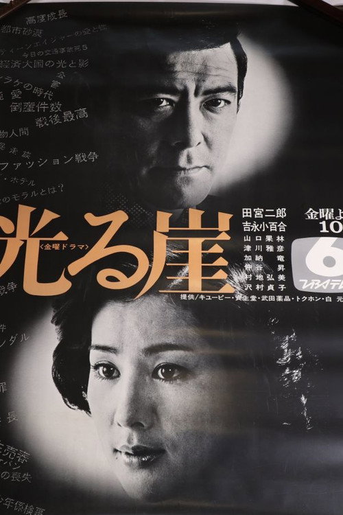 Hikarugake poster
