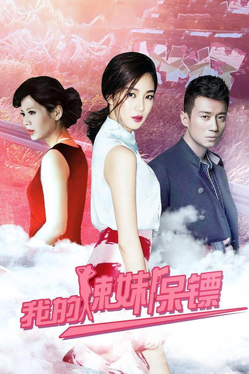 我的辣妹保镖 poster