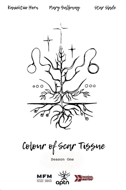 Colour of Scar Tissue poster