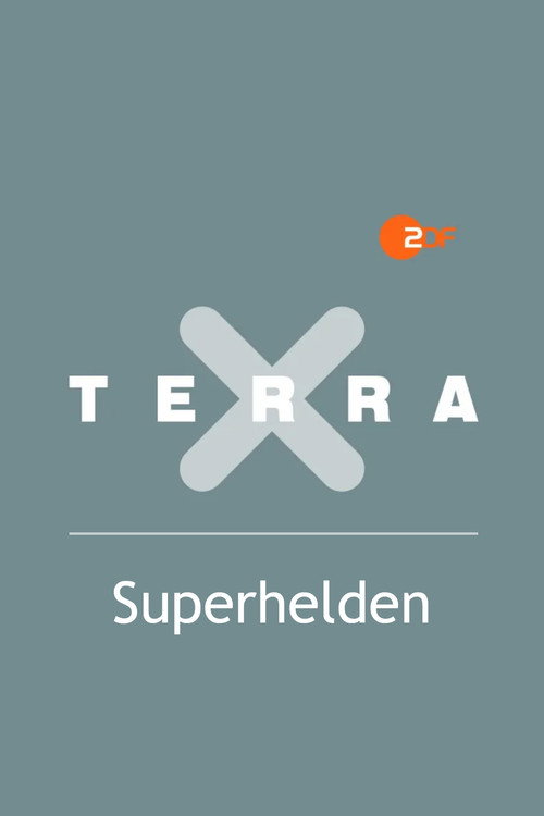 Superhelden poster