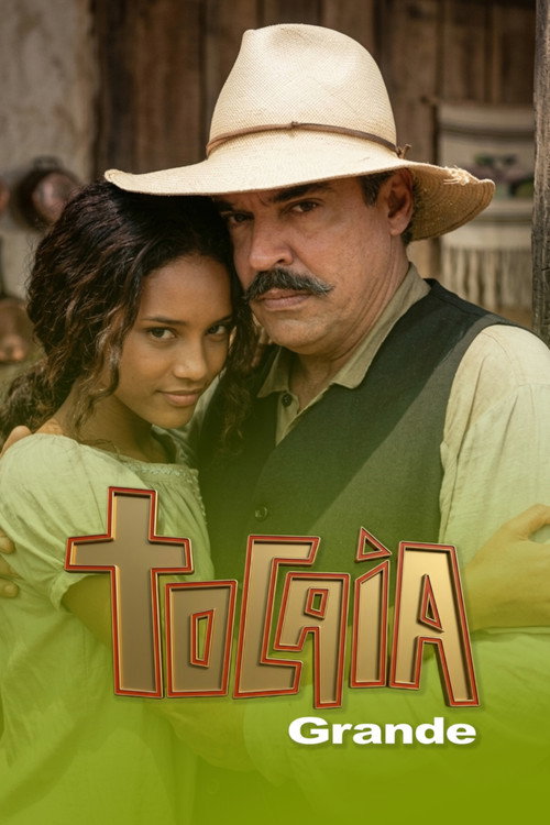 Большая засада poster